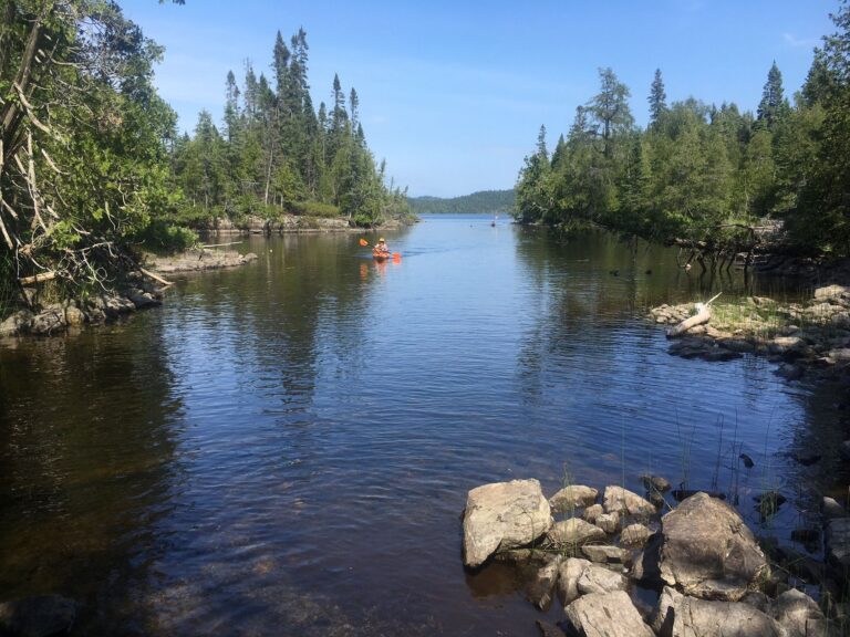 Fenton treeby 2 768x576